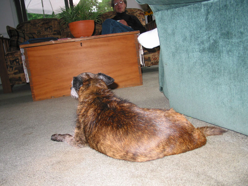 20040813-JC-house-Brindle1