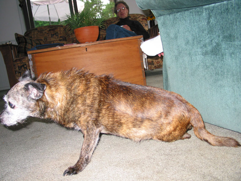 20040813-JC-house-Brindle2