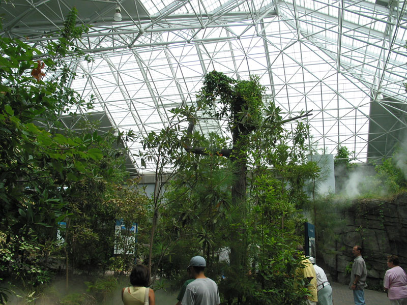 20040824-NCAquarium03