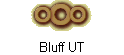 Bluff UT