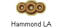 Hammond LA
