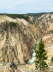 20070707-YellowstoneWY-ViewFromInspirationPoint1
