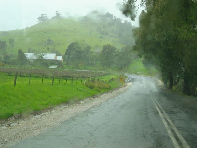 20100903-29-Road-Rain-Vines-Bleak