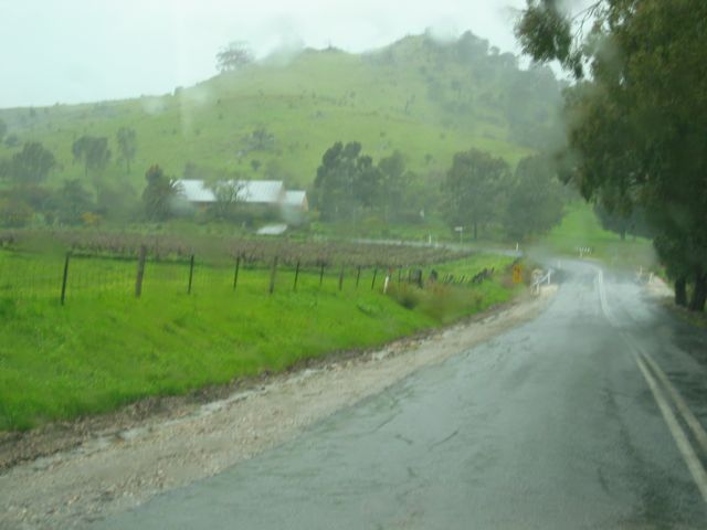 20100903-30-Road-Rain-Vines-Bleak