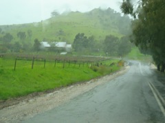 20100903-30-Road-Rain-Vines-Bleak