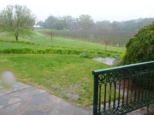 20100904-42-GrantBurge-Vines-in-rain