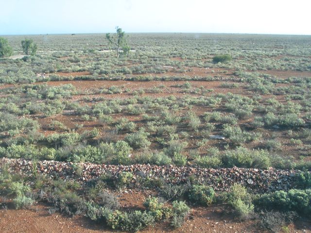 20100906-IndianPacific-NullarborPlain