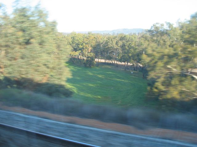 20100907-IndianPacific-Field