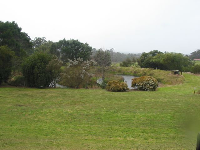 20100907-MtBarkerWA-BanksiaFarm1