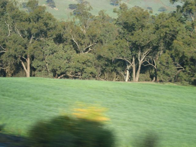 20100907-IndianPacific-Field2