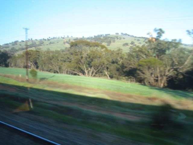 20100907-IndianPacific-Field3