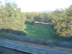 20100907-IndianPacific-Field