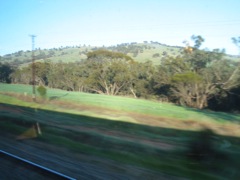 20100907-IndianPacific-Field3