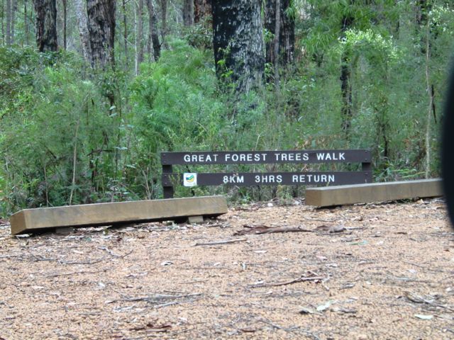 20100910-69-ShannonNP-WalkSign