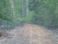 20100910-70-ShannonNP-22km-Drive