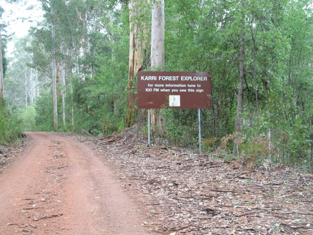 20100911-02-WarrenNP-KarriForest