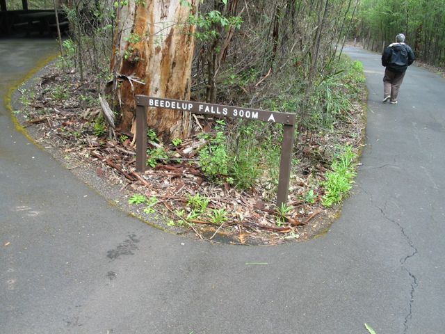 20100911-09-BeedalupFallsTrail