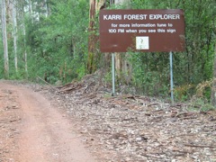 20100911-01-WarrenNP-KarriForest