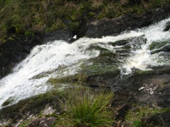 20100911-22-BeedalupFalls-Middle