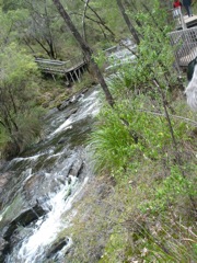 2010-23-BeedalupFalls-Upper