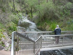 20100911-25-Dolores-BeedalupFalls