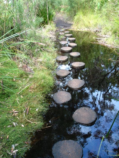 20100913-29-WildflowerWalk-Footpath