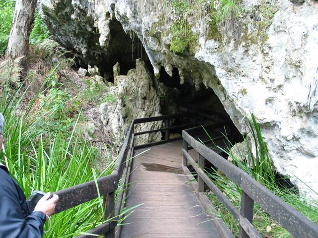 20100913-35-WildflowerWalk-MammothCave-Entry