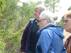 20100913-01-JaneScott-Unk-Unk-WildflowerWalk-LakeCaveWA