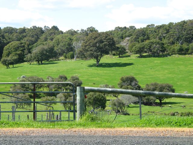 20100915-18-MargaretRiverWA-GreenFields3