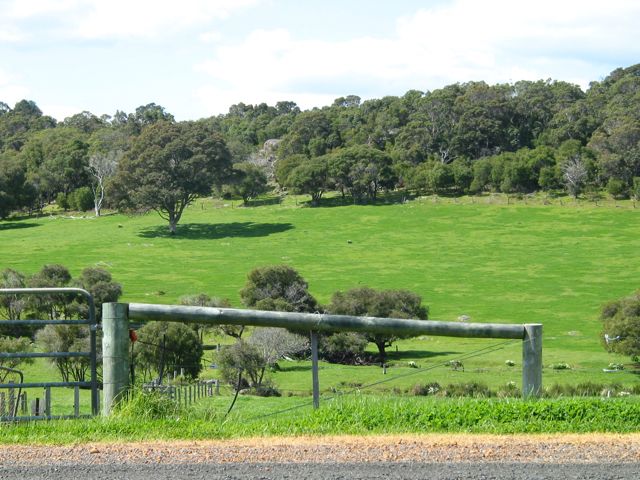 20100915-19-MargaretRiverWA-GreenFields4