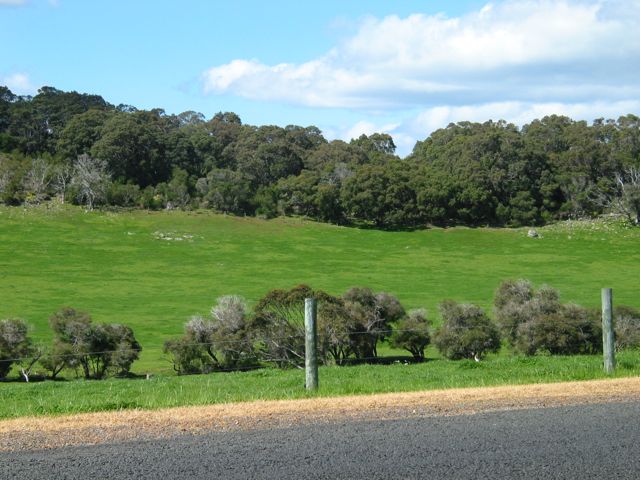 20100915-20-MargaretRiverWA-GreenFields4