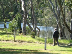 20100915-12-MargaretRiverWA-Pond3