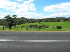 20100915-17-MargaretRiverWA-GreenFields2