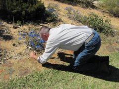 20100916-PerthWA-Idiot-Shooting-Flower