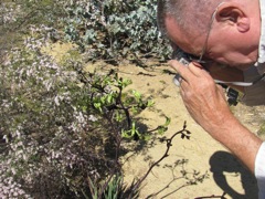 20100916-PerthWA-Idiot-Strikes-Again