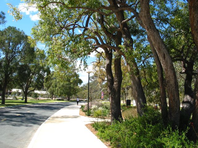 20100917-30-PerthWA-Street