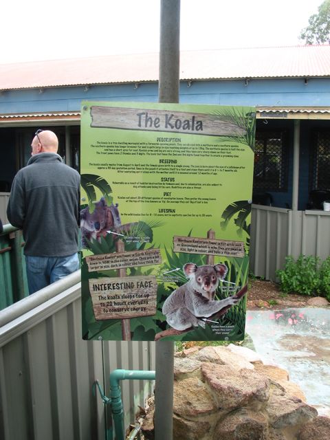 20100918-18-WarnbroWA-Koala-Sign