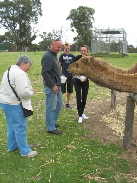 20100918-45-WarnbroWA-Dolores-Paul-Daniel-Pamela-Camel