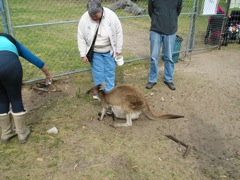 20100918-21-WarnbroWA-Dolores-and-roo