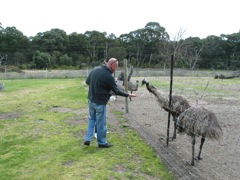 20100918-28-WarnbroWA-Paul-Emu