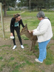 20100918-40-WarnbroWA-Pamela-Deer-Dolores