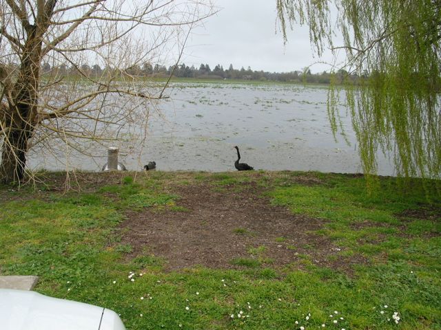 20100921-18-BallaratVIC-LakeWendouree