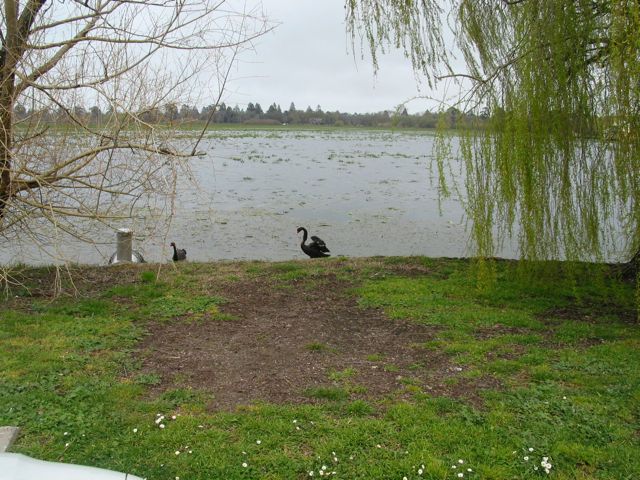 20100921-19-BallaratVIC-LakeWendouree