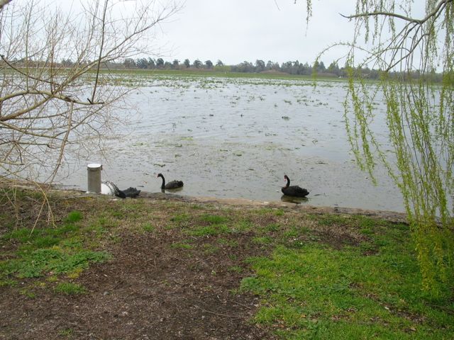 20100921-20-BallaratVIC-LakeWendouree