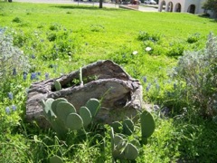 20100329-32-GoliadTX-MissionRuins