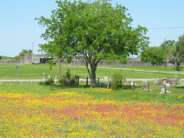 20100330-37-GoliadTX-Wildflowers-and-Presidio-from-FanninMemorial