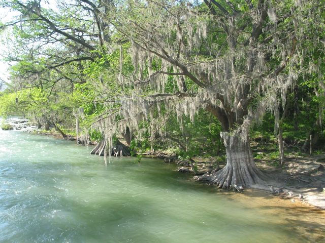 20100331-24-GrueneTX-GuadalupeRiver