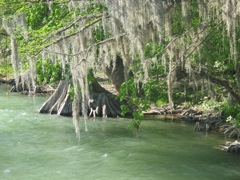 20100331-25-GrueneTX-GuadalupeRiver