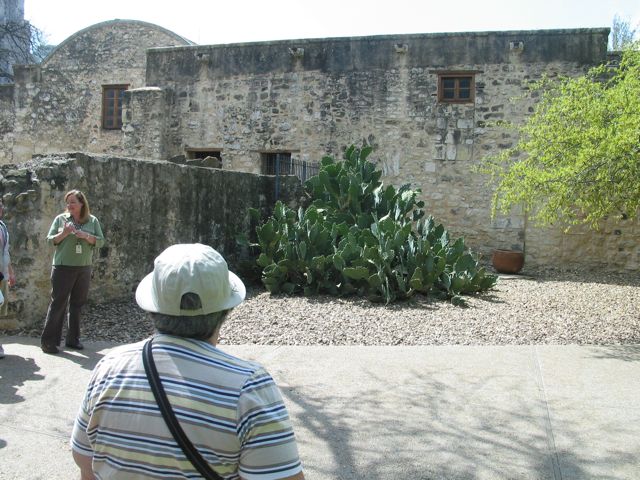 20100401-26-SanAntonioTX-Alamo-Dolores-Cactus