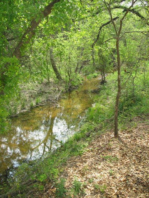 20100402-15-LuckenbachTX-SnailCreek